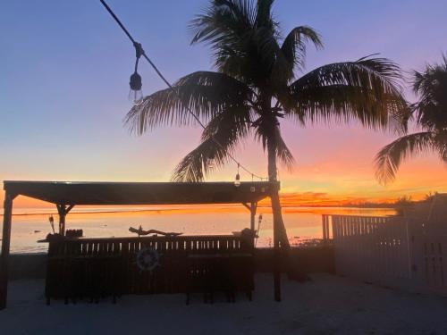 New Starfish Villa - Calypso House