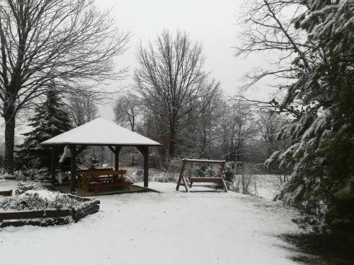 ČAROBNA ŠUMA ***(magic forest)