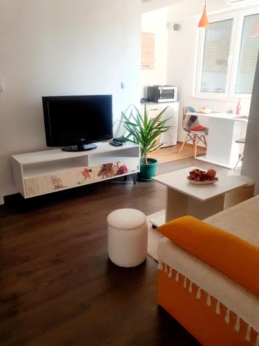 Grkov Apartment, Skopje