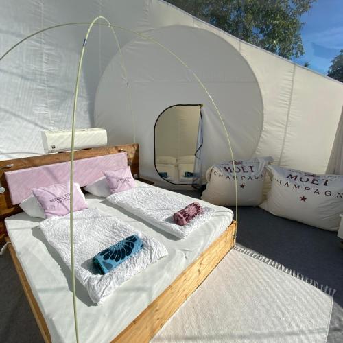 Bubble Tent Hotel  Alle ntigen Infos