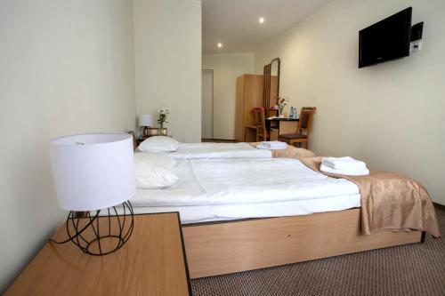 Hotel Zamek - image 14