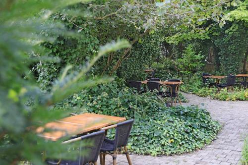 Hotel Les Dunes - image 14