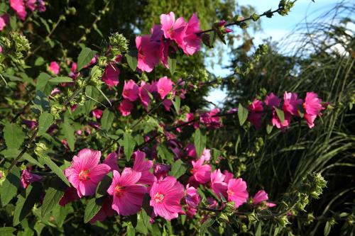 The Moonraker Hotel; BW Signature Collection - image 5