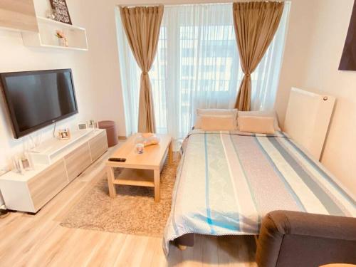 Relaxing Coresi Studio Relaxing Coresi Studio