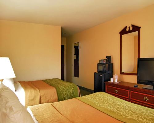 2 queen beds