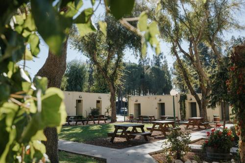 Kibbutz Ortal Tourism 5