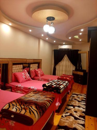 الجيزة-المهندسين