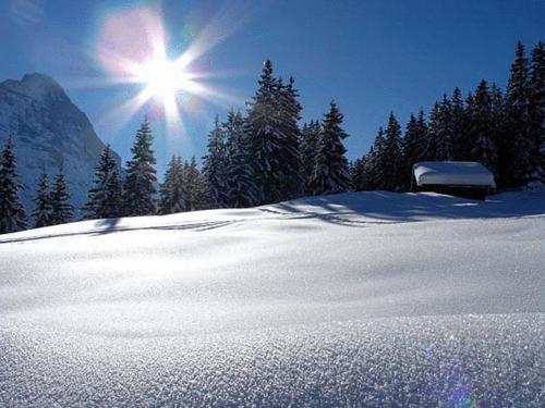 Hotel Steinbock Grindelwald