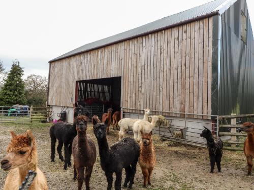 Colomendy Alpaca Farm - Farm House