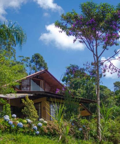 Chalé Pakere Montanha Lumiar - Conforto a mais de 1000 metros de altitude junto a natureza, lareira, wifi, piscina, sauna e água de nascente
