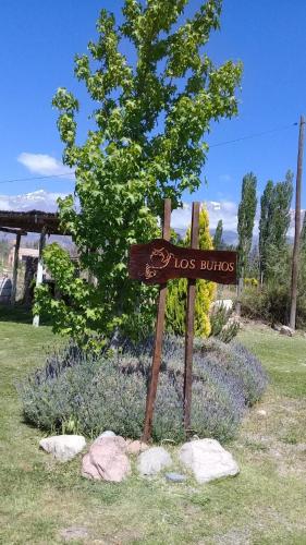 Los búhos