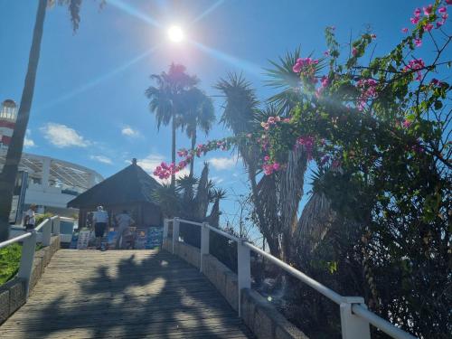  Ocean View Apartment, Costa Adeje,Tenerife in Adeje