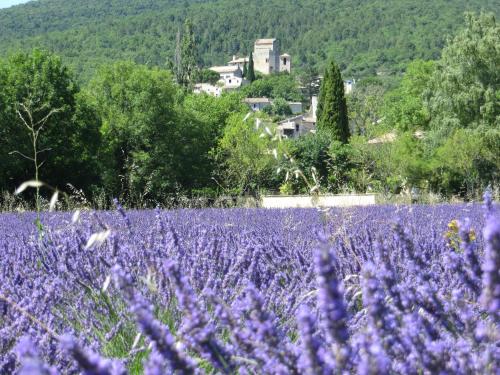 Le Mas des Restanques - Roche-Saint-Secret-Béconne
