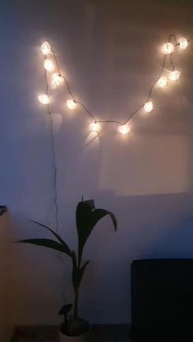 Apartment von Sophie