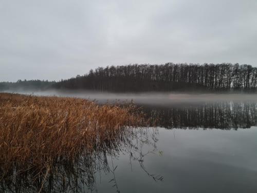 4 Sterne-Haus am See