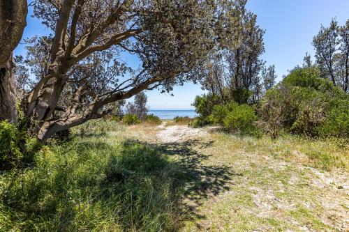 Absolute Beachfront - Luxury Accommodation in Rosebud