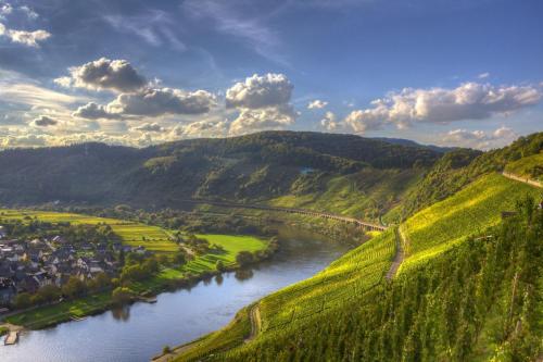 Casa Schneider - Urlaub an der Mittelmosel