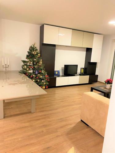 . Savanoriai apartment