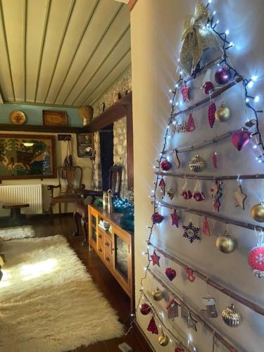 Αρχοντικό Βογιάρου (Αρχοντικο Βογιαρου) in Epirus