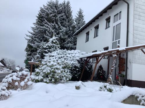 A szálláshely kívülről, Ferienwohnung Pasek in Mehlmeisel