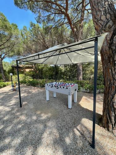 Hotel Brigantino - image 2
