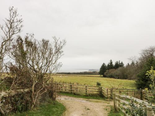 A szálláshely kívülről, Forest View Cottage in Cloughton