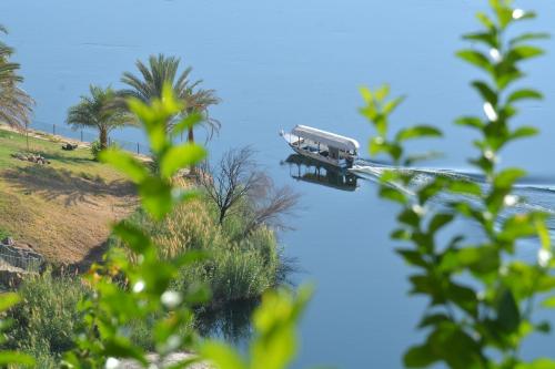 ASWAN NILE PALACE (swimming pool-rooftop-Nile view)