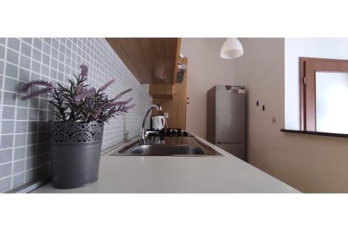 Apartment Flowers - image 7