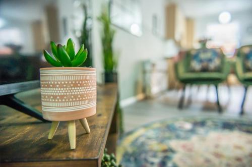 Pipkin Place Serviced Apartment Coventry Pipkin Place Serviced Apartment Coventry