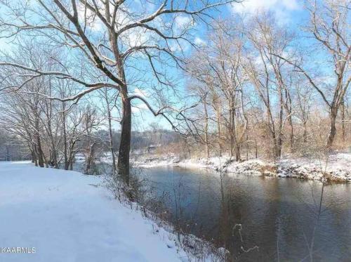 Pinocchios Creekside Cottage