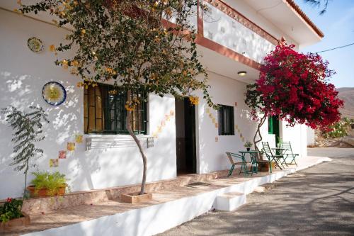  Casa Rural Femy 1 in Betancuría