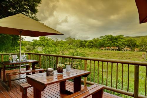 Garden Route Safari Camp