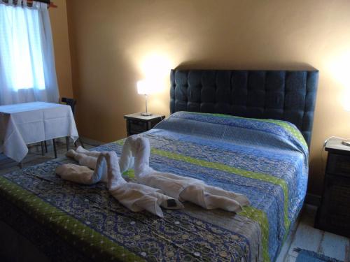 Bella Luna in San Marcos Sierras