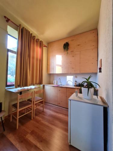 Ex-Block District charming studio apartment with treeish sorrounding view!, Tirana (photo 6)