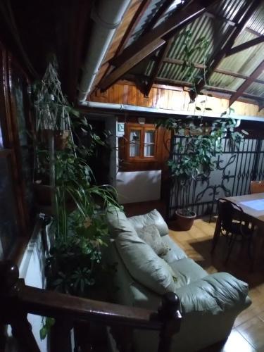 Hostal Gomero in Santa Cruz