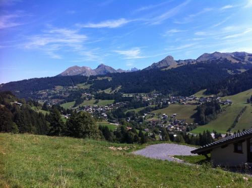 Chamois d'Or Hotel - image 13