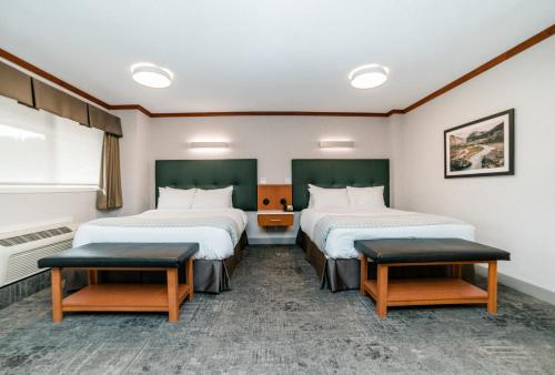 Quadruple Room with 1 Double Bed and 2 Single Beds