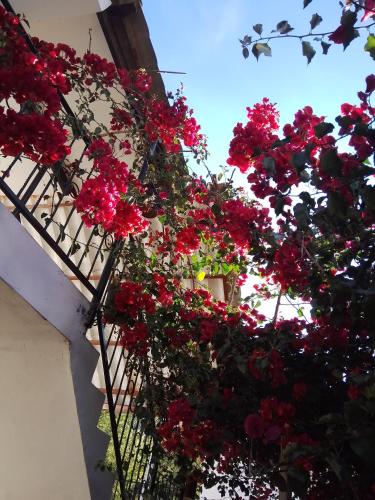 Casa de Mama Valle - Urubamba