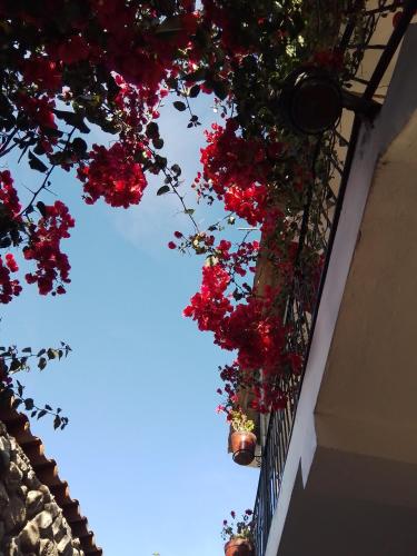 Casa de Mama Valle - Urubamba
