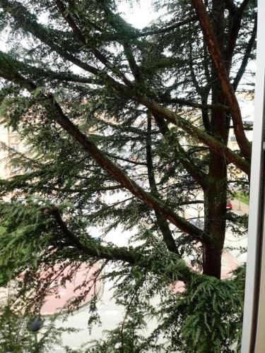  La casa de Mercedes in Burgos