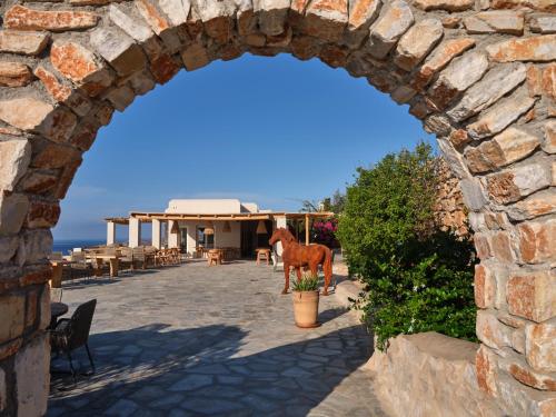 Mythic Exclusive Retreat Adults Only - image 3