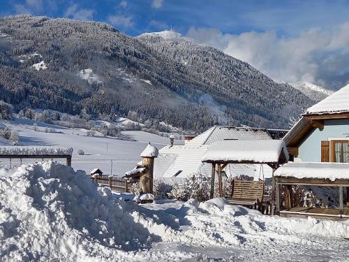 Hansalagut - image 13