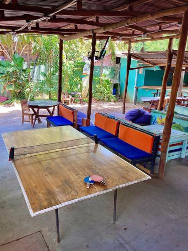 Coral Reef Surf Hostel and Camp in Tamarindo