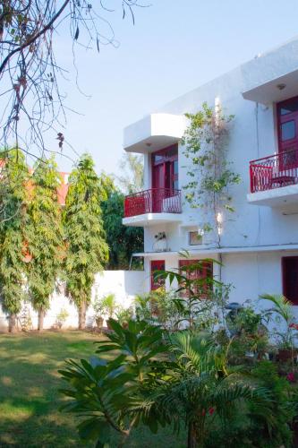 Falcon guest house, Bharatpur
