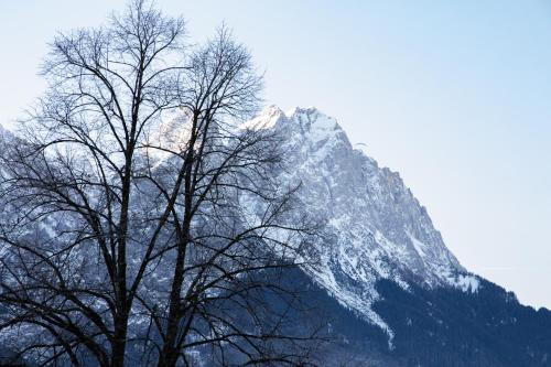 Apartment with Mountain View image 9