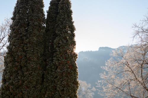 Apartment with Mountain View image 7