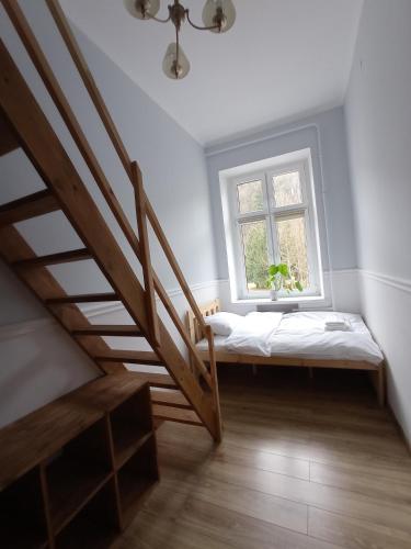 Fiore, Duszniki-Zdrój (foto 10)
