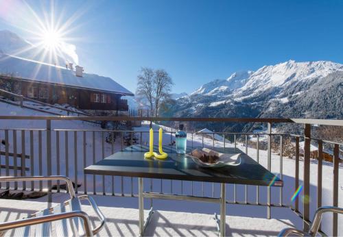 Chalet Wyssbirg Chalet Wyssbirg