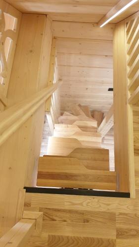Villa Fortuna - Regionalne apartamenty & SPA - Sauna, Grill, Jacuzzi z widokiem na Tatry, Zakopane (foto 10)