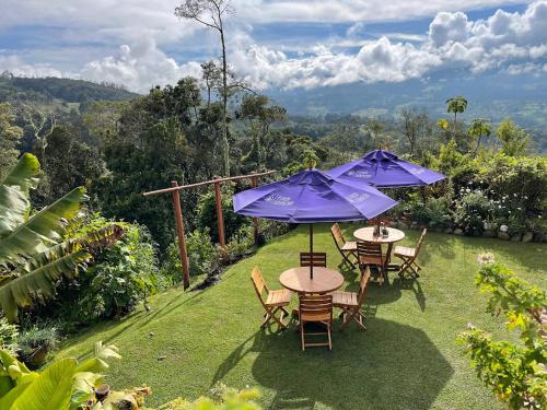 Restorāns, Glamping Finca Corazón (Glamping Finca Corazon) in Arcabuco